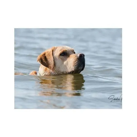Uitzicht Op De Schlei In 