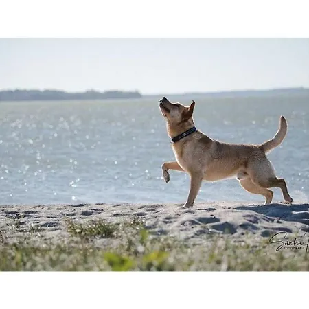 Uitzicht Op De Schlei In 