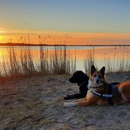 Uitzicht Op De Schlei In 